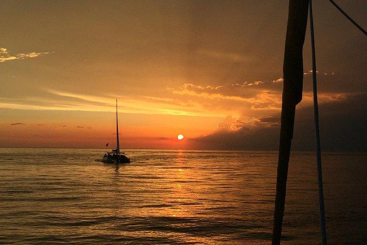 Sunset Dolphin Sail Aboard the Footloose Catamaran