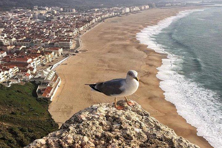 Fatima Batalha Nazare Obidos Day Trip Hotel Pickup From Lisbon