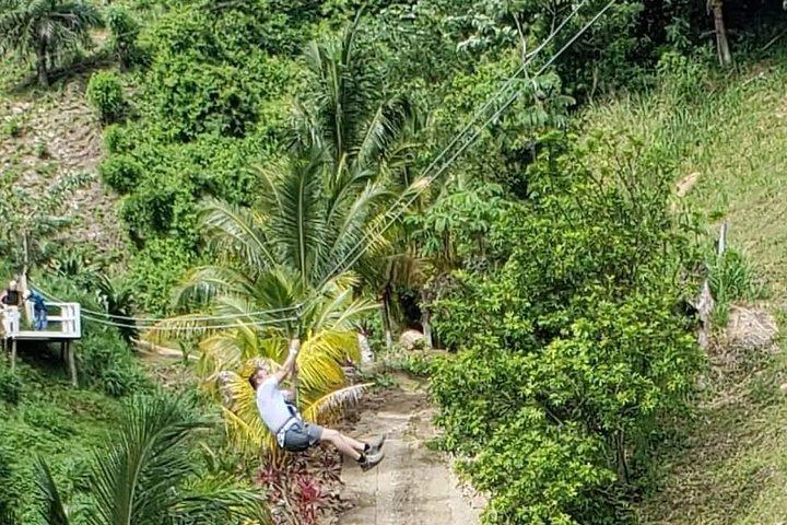 Full-Day Zipline Adventure and Beach Club Visit on Roatan Island, Honduras