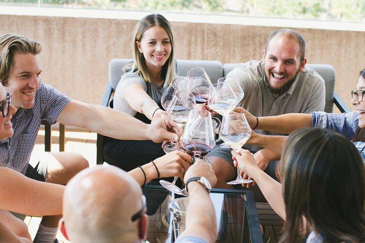 Full-Day Napa Winery E-Bike Tour (with Picnic Lunch)