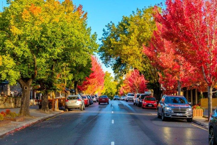 Best of Adelaide- City Highlights (half-day Tour)