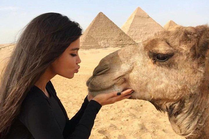Half Day Private Tour to Giza Pyramids Sphinx