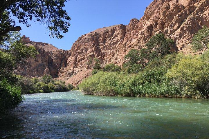 Charyn Canyon Private tour from Almaty, 1 day
