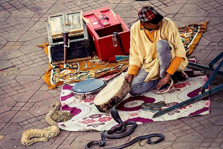 Top Activities : Half day guided walking tour in Marrakech with official guide
