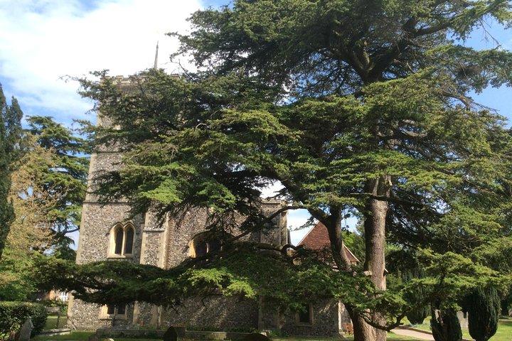 The Roman City of St Albans Private Tour