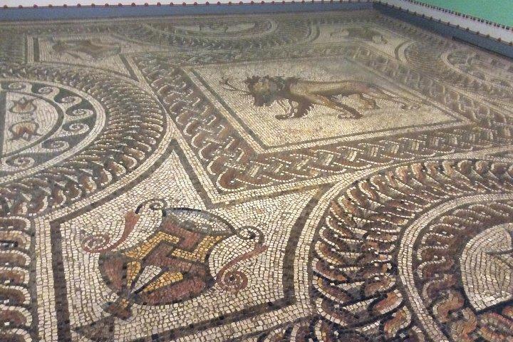 The Roman City of St Albans Private Tour