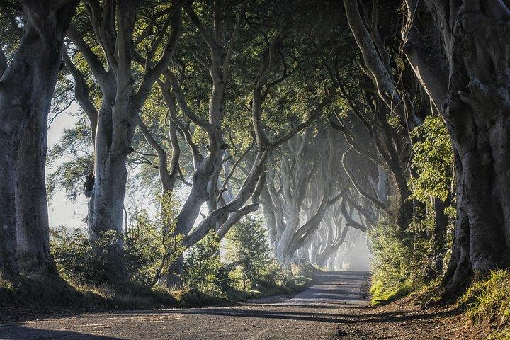 Giant's Causeway with the Titanic Exhibition and the best of Northern Ireland
