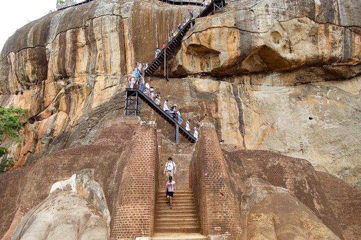 Private Day Trip to Sigiriya, cave and National park Safari Tour