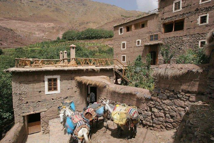 Atlas Mountains Day Trip From Marrakech And Camel Ride