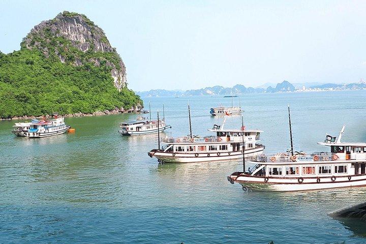 2 Days Overnight on Aura Cruise Cruise Ha Long