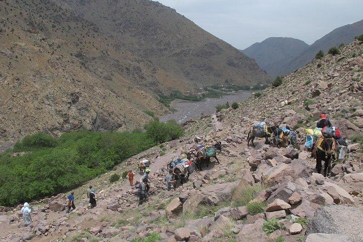 Toubkal Trek 4 Days with Local Atlas Guides