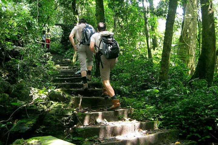 2-day Ninh Binh: Bai Dinh - Trang An & Cuc Phuong National Park