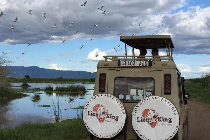 12 days Luxury Tanzania Honeymoon Safari and Zanzibar