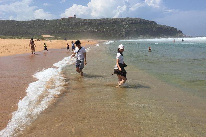 Small-Group Sydney's Northern Beaches & Ku-ring-gai Park Tour
