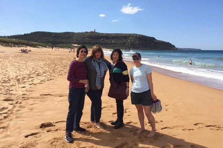 Small-Group Sydney's Northern Beaches & Ku-ring-gai Park Tour