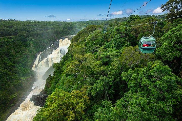 Kuranda Scenic Railway & Skyrail Tour from Port Douglas