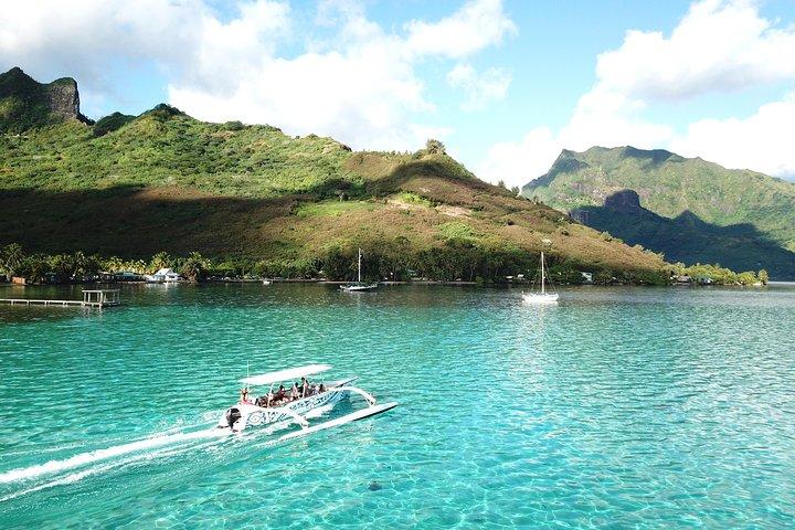 Moorea 6-Hour Snorkeling and Lunch Shared Tour