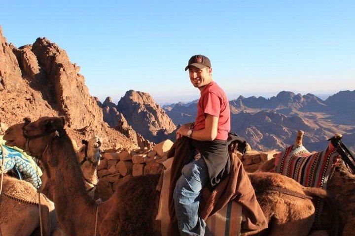 Mount Sinai Climb and St Catherine Tour from Sharm El Sheikh
