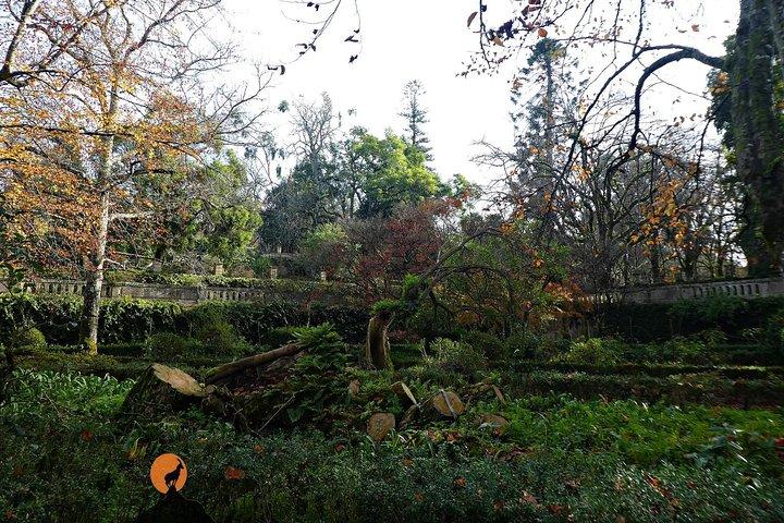 Discovering the charms and places of Coimbra