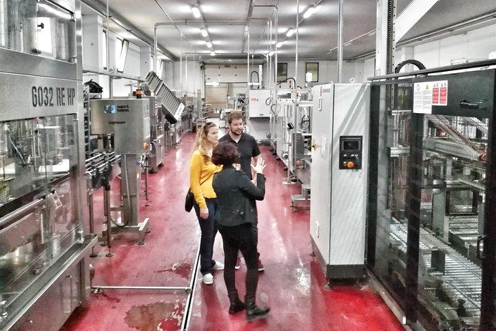 Discover the best cellars of Salento