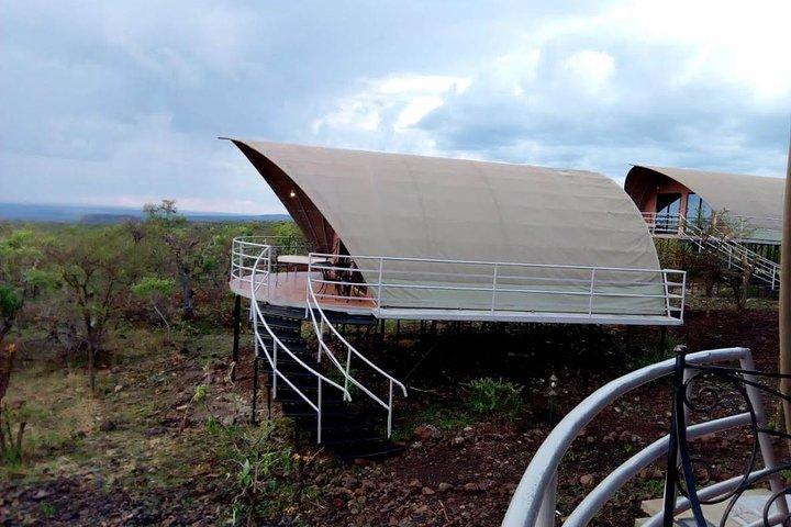 8 Days Best of Tanzania Wildlife Safari