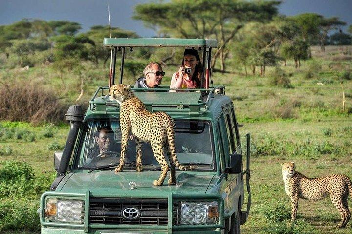 3 Days Masai Mara Wildlife Luxury Jeep Safari