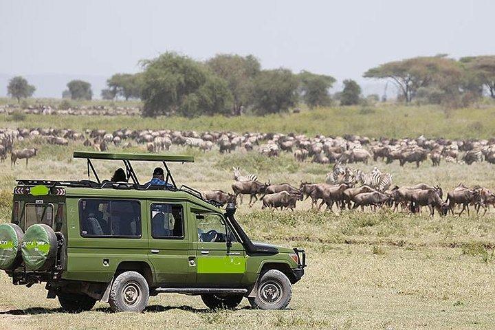 2-Day Tanzania Camping Safari: Lake Manyara & Ngorongoro Crater from Arusha