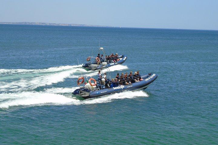 Sealife Sea Safari, Dolphin Watching with Marine Biologist's Lagos
