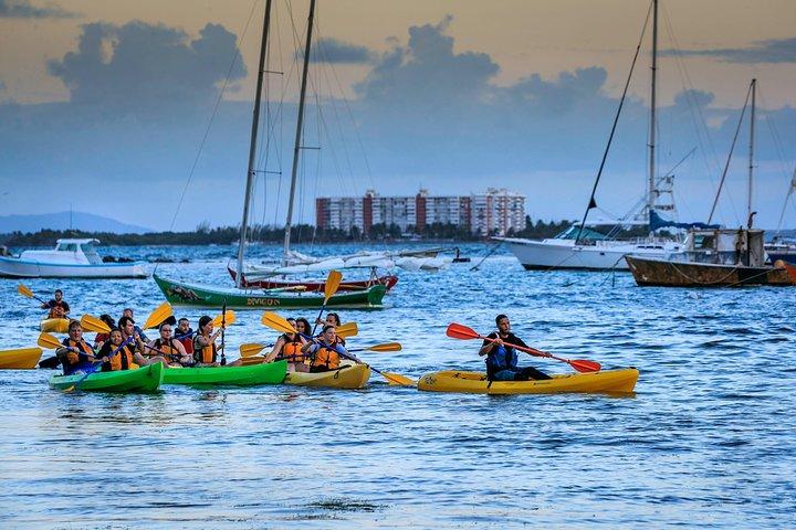 Bioluminescent Bay Night Kayaking in Laguna Grande Fajardo 7:30pm