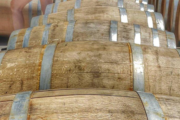 Full-Day Tour Cafayate Calchaqui Valleys with Wine