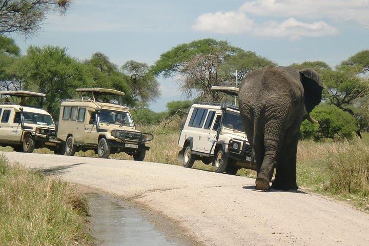 6 Days Camping Tours Lake Manyara, Ngorongoro,Serengeti National Park