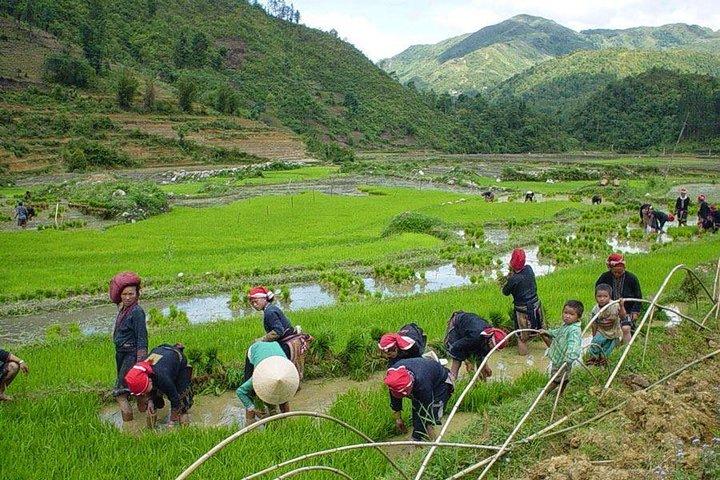 From Hanoi: Sapa Real Experience 2-Day 1 Night at Ethnic Homestay