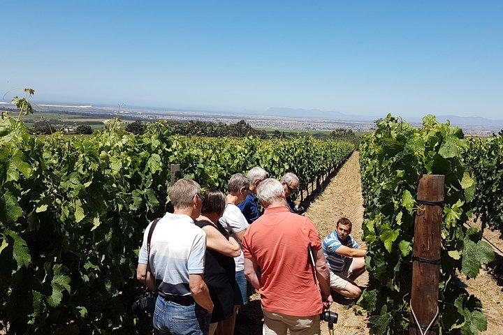Stellenbosch Valley: Private Wine Tour with a Winemaker