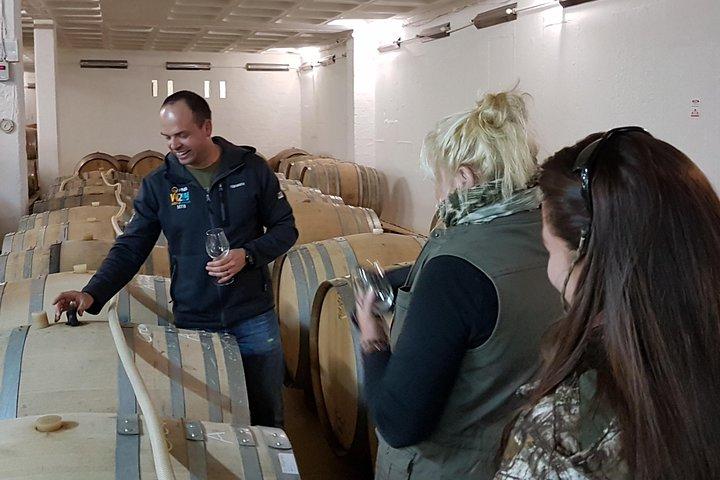 Stellenbosch Valley: Private Wine Tour with a Winemaker