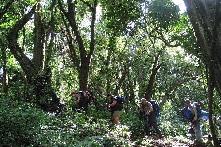Private Kilimanjaro Climb - Any Route - 8 to 15+ Days