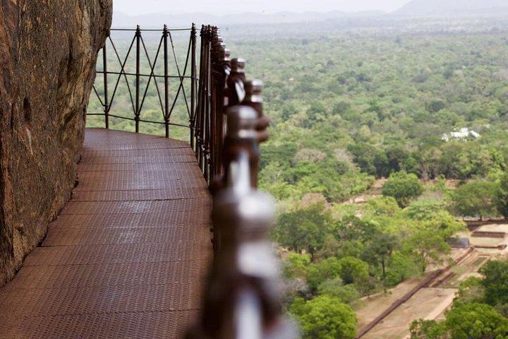 Private Trip to Sigiriya, Dambulla & safari from Colombo/ Negombo