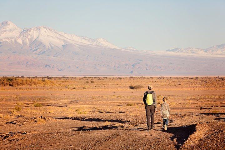 Small-Group Tour to Moon Valley from San Pedro de Atacama
