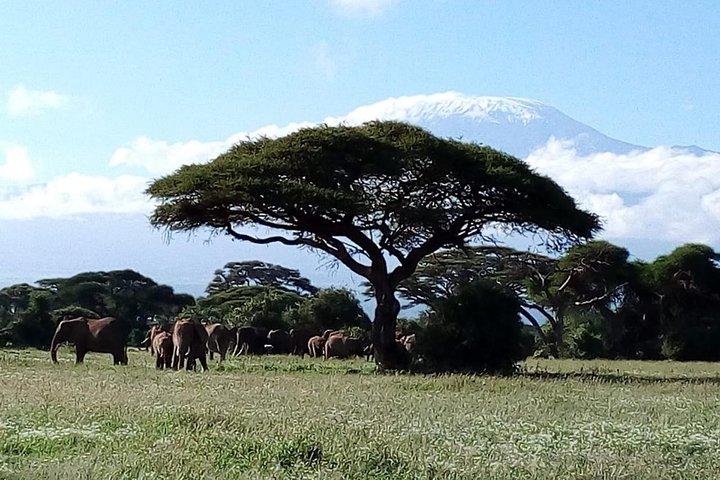 2 days maasai mara flying safari