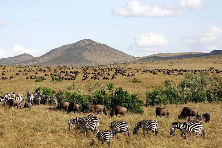 3 days Maasai Mara Luxury Safari