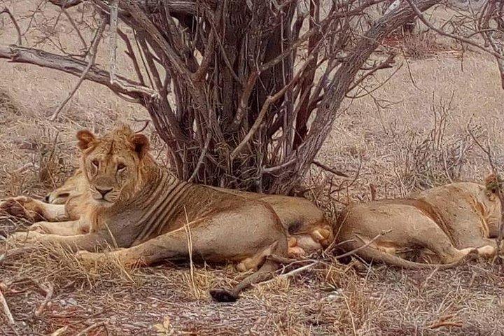 4-Days Great Amboseli, Tsavo East & West Safari Kenya