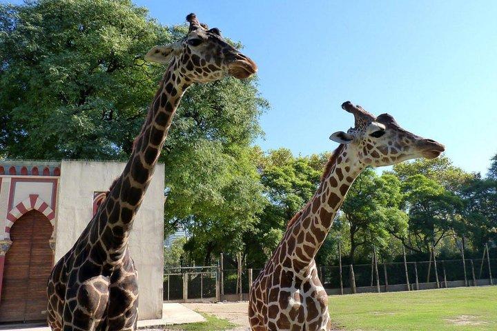 Temaiken Tour from Buenos Aires: A Journey to Nature