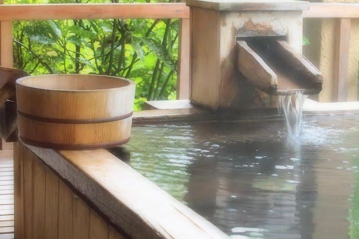 Private Car Day Trip to the Kobe Mountains, Gardens and Hot Springs from Osaka