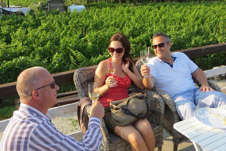 Etyek Private Half-Day Wine Tasting Tour from Budapest