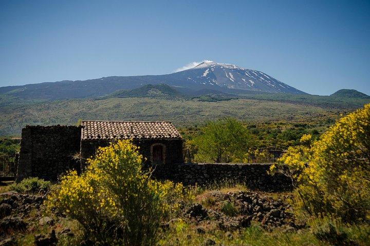 Old Sicily discovery and Etna wine tasting tour from Taormina