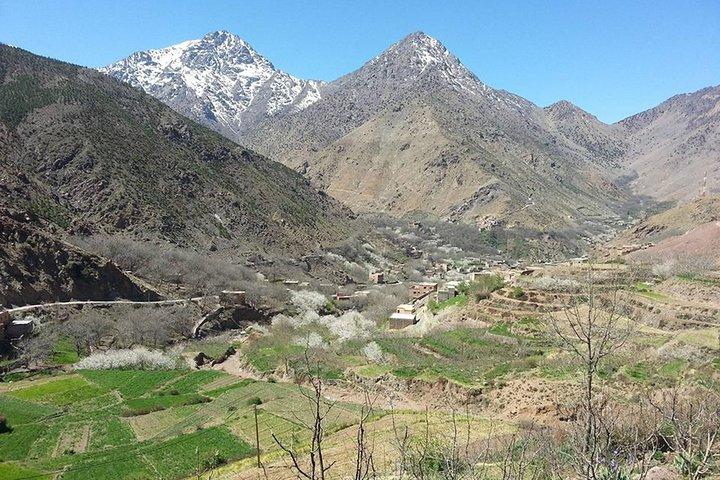Ourika Valley and Atlas Mountains Full-Day Tour from Marrakech