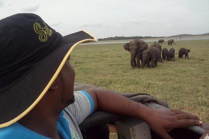 Day Tours & Shore Excursions In Colombo, Sri lanka. full day tour