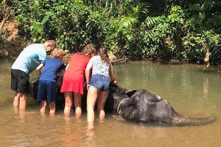 Day Tours & Shore Excursions In Colombo, Sri lanka. full day tour