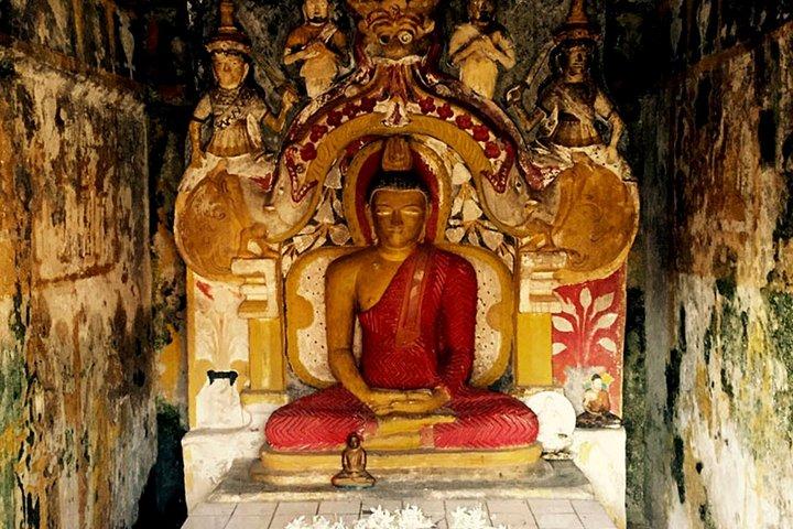 Kandy City Tour with Mahaweli