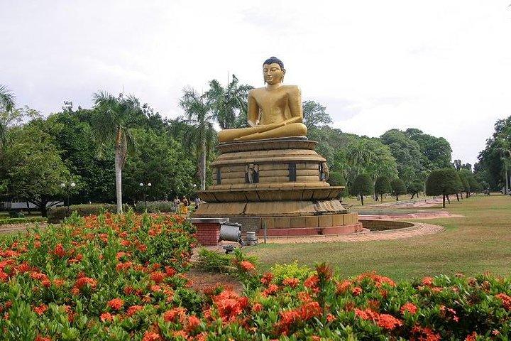 Shore Excursions Port Passenger Terminal to Colombo Wetland Tour.