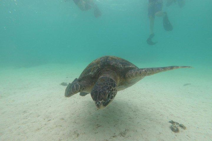 6-Day Galapagos Superior Adventure (Tourist Superior Class)